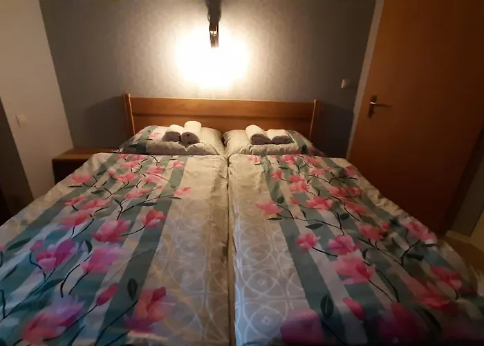 公寓 Tatran A 12 *